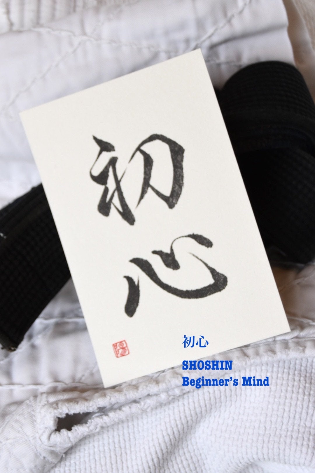 Daily Reminder Personalized Japanese Calligraphy Handpainted Art Bookmark Inspirational Motivational Personalized Phrase Kanji Nihongo Life