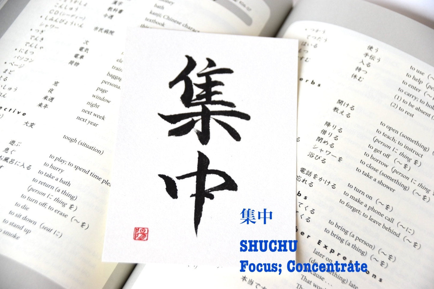 Daily Reminder Personalized Japanese Calligraphy Handpainted Art Bookmark Inspirational Motivational Personalized Phrase Kanji Nihongo Life